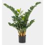 Deko Zamioculcas Zamiifolia AKONO, 65cm