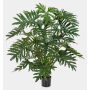 Dekopflanze Philodendron Selloum LAINA, 125cm