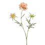 Künstlicher Zweig Scabiosa MARUA, pfirsich, 80cm