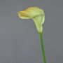 Calla künstlich DAISCHI, gelb-grün, 70cm, 11x14cm