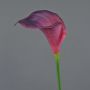 Calla künstlich DAISCHI, violett-pink, 70cm, 11x14cm