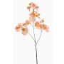 Deko Kunstblume Duftwicke KANZI, pfirsich, 75cm, Ø4-7cm