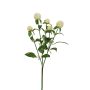 Dekozweig Kugelamarant DREWON, weiß, 65cm, Ø2-3cm
