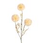 Dekozweig Allium ANNELIA, creme, 65cm