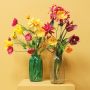 Viva la Vida - Sommerfeeling pur