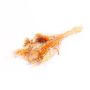 Trockenstrauß DILIANE, orange-gelb-natur, 50cm, Ø15cm