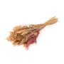 Trockenstrauß DILIANE, rosa-natur, 50cm, Ø15cm