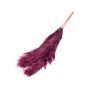 Getrocknetes Pampasgras ANIAMI, violett, 130-140cm, Ø20cm