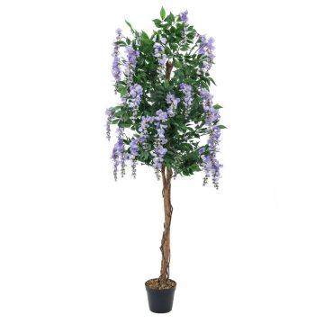 Kunststoff Goldregen LESLIE, Echtstämme, mit Blüten, lila, 180cm Kunststoff Goldregen LESLIE, Echtstämme, mit Blüten, lila, 180cm