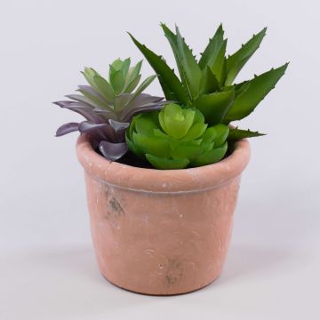 Deko Sukkulenten Mix DANGELO im Terracotta Topf, grün-violett, 19cm