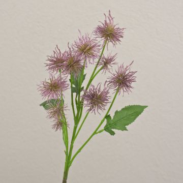 Dekozweig Kugeldistel GESKENDA, lila, 60cm, Ø3,5-5cm Dekozweig Kugeldistel GESKENDA, lila, 60cm, Ø3,5-5cm