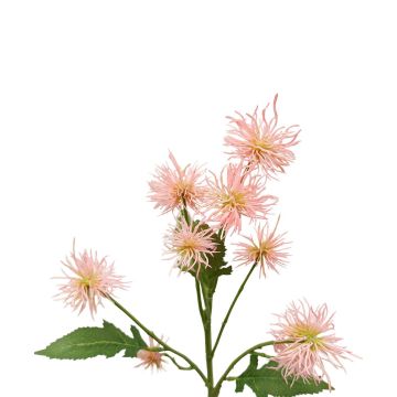 Dekozweig Kugeldistel GESKENDA, rosa-gelb, 60cm, Ø3,5-5cm