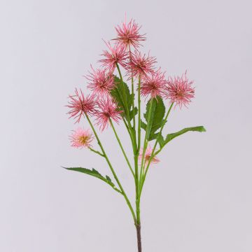 Dekozweig Kugeldistel GESKENDA, rosa-gelb, 60cm, Ø3,5-5cm