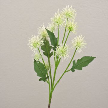 Dekozweig Kugeldistel GESKENDA, creme-weiß, 60cm, Ø3,5-5cm