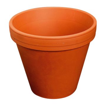 Terrakotta Pflanztopf ARVION, outdoor, 8cm, Ø9cm Terrakotta Pflanztopf ARVION, outdoor, 8cm, Ø9cm