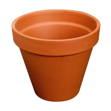 Terrakotta Pflanztopf DUNARI, outdoor, 23cm, Ø25cm Terrakotta Pflanztopf DUNARI, outdoor, 23cm, Ø25cm