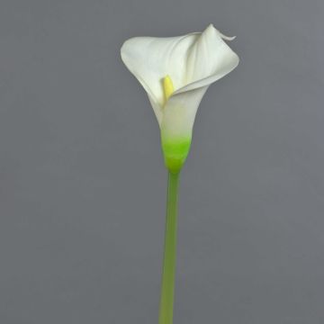 Calla Kunstblume MIRAC, creme, 75cm, 12x15cm