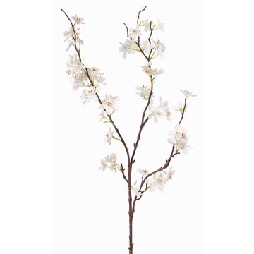 Deko Apfelblütenzweig LOUISA, blühend, creme-weiß, 80cm, Ø3-4cm Deko Apfelblütenzweig LOUISA, blühend, creme-weiß, 80cm, Ø3-4cm