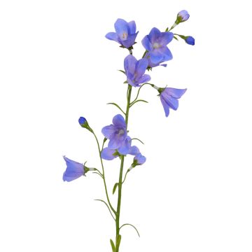 Kunst Glockenblume GISELA, blau, 65cm, Ø1-4cm Kunst Glockenblume GISELA, blau, 65cm, Ø1-4cm