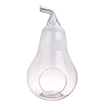 Terrarium Glas YVIE in Birnenform, klar, 31cm, Ø17cm Terrarium Glas YVIE in Birnenform, klar, 31cm, Ø17cm
