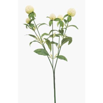 Dekozweig Kugelamarant DREWON, creme, 65cm, Ø2-3cm Dekozweig Kugelamarant DREWON, creme, 65cm, Ø2-3cm