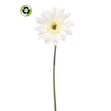 Kunstblume Gerbera FRALWE, Eco Collection, weiß, 65cm, Ø13cm Kunstblume Gerbera FRALWE, Eco Collection, weiß, 65cm, Ø13cm