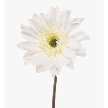 Kunstblume Gerbera FRALWE, Eco Collection, weiß, 65cm, Ø13cm Kunstblume Gerbera FRALWE, Eco Collection, weiß, 65cm, Ø13cm