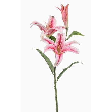 Künstliche Blume Tigerlilie KRAWEL, Eco Collection, pink-rosa-weiß, 85cm, Ø21cm Künstliche Blume Tigerlilie KRAWEL, Eco Collection, pink-rosa-weiß, 85cm, Ø21cm