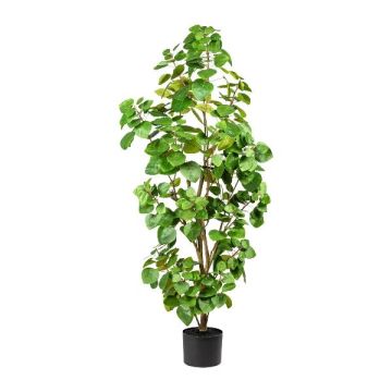 Künstlicher Eukalyptus Baum MISNE, Kunststamm, grün, 120cm Künstlicher Eukalyptus Baum MISNE, Kunststamm, grün, 120cm