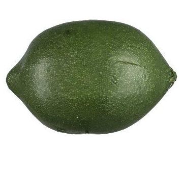Deko Obst Limette POLASY, dunkelgrün, 8,5cm, Ø5,5cm Deko Obst Limette POLASY, dunkelgrün, 8,5cm, Ø5,5cm