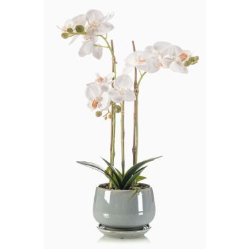 Unechte Orchidee Phalaenopsis JOLANA im Keramiktopf, weiß, 45cm Unechte Orchidee Phalaenopsis JOLANA im Keramiktopf, weiß, 45cm