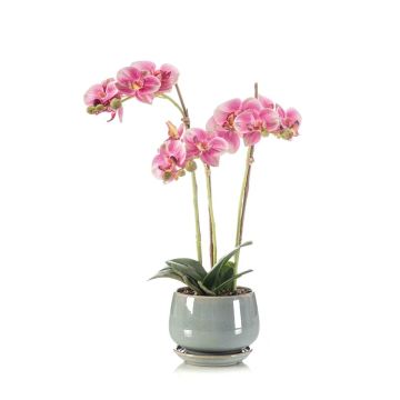 Unechte Orchidee Phalaenopsis JOLANA im Keramiktopf, rosa, 45cm