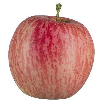 Kunstobst Apfel LOKPA, rot-gelb, 7,5cm, Ø6,5cm