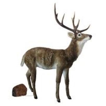 XXL Hirsch Deko Figur BLAER, braun-weiß, 138x63x172cm XXL Hirsch Deko Figur BLAER, braun-weiß, 138x63x172cm