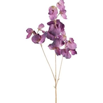 Kunstzweig Lathyrus latifolius SLIRKEN, dunkellila, 75cm