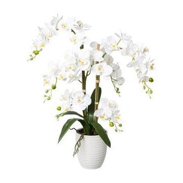 Künstliche Phalaenopsis Orchidee LUKREN im Keramiktopf, Wurzeln, weiß, 65cm