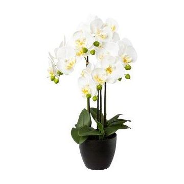 Deko Phalaenopsis Orchidee UKERNA im Resin-Übertopf, weiß, 55cm
