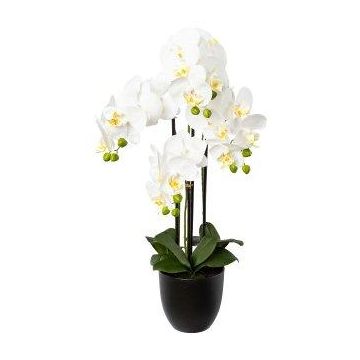 Deko Phalaenopsis Orchidee UKERNA im Resin-Übertopf, weiß, 70cm