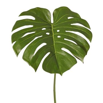 Dekoblatt Philodendron Monstera Deliciosa THALWIL, 60cm