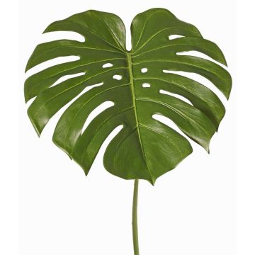 Dekoblatt Philodendron Monstera Deliciosa THALWIL, 60cm Dekoblatt Philodendron Monstera Deliciosa THALWIL, 60cm