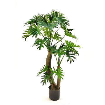 Dekopflanze Philodendron Selloum DONIS, Kunststämme, 180cm