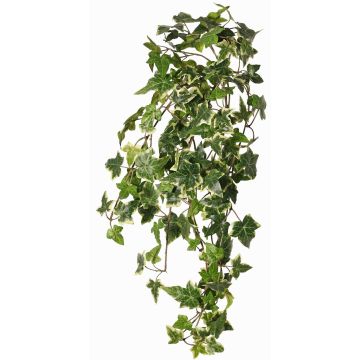 Kunst Efeu Hänger ARJANA, Steckstab, schwer entflammbar, grün-weiß, 75cm Kunst Efeu Hänger ARJANA, Steckstab, schwer entflammbar, grün-weiß, 75cm