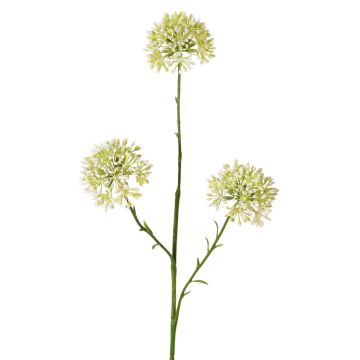 Kunst Allium ALIKIO, weiß, 65cm, Ø7cm Kunst Allium ALIKIO, weiß, 65cm, Ø7cm