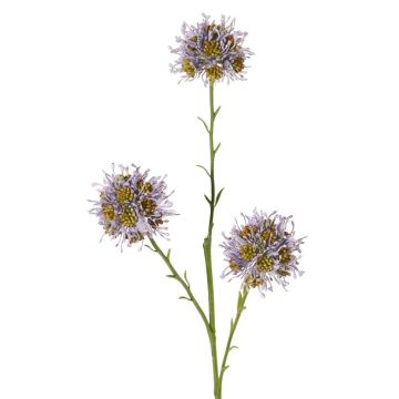 Dekozweig Allium ZEBU, lila, 65cm, Ø7cm