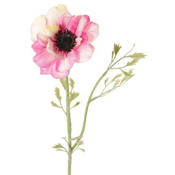 Kunstblume Anemone OKAPI, rosa-weiß, 55cm, Ø10cm Kunstblume Anemone OKAPI, rosa-weiß, 55cm, Ø10cm