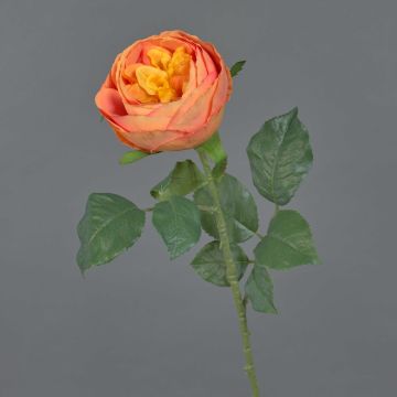 Kunst Kohl-Rose VANNI, orange, 60cm, Ø9cm Kunst Kohl-Rose VANNI, orange, 60cm, Ø9cm