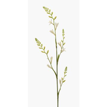 Künstliche Blume Montbretie KATHERYN, creme, 90cm