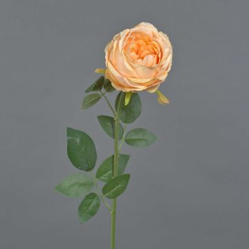 Rose künstlich THYRI, pfirsich, 65cm, Ø10cm