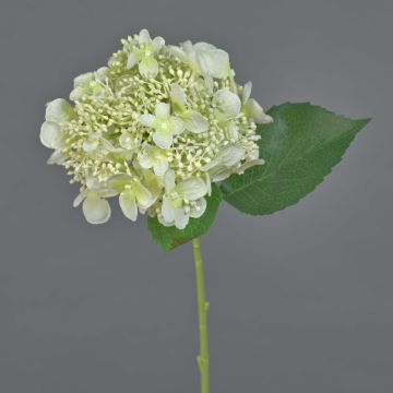Künstliche Hortensie CALESA, weiß-grün, 50cm, Ø15cm