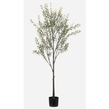 Künstlicher Olivenbaum LONIRB mit Früchten, Kunststamm, crossdoor, 175cm Künstlicher Olivenbaum LONIRB mit Früchten, Kunststamm, crossdoor, 175cm